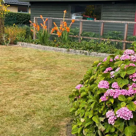 Charming 3-bedroom Family House Near Blokhus Pandrup